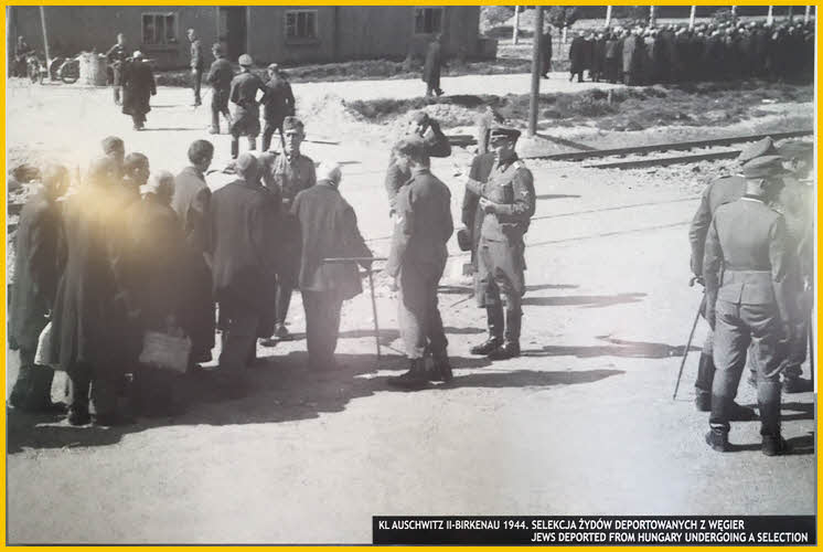 Jews from Hungary Undergoing Selection